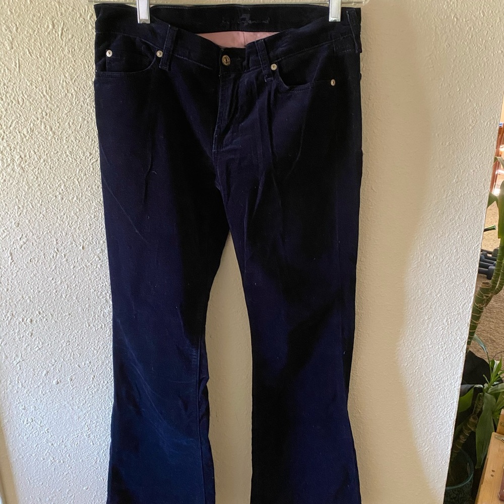Velvet 7 for all mankind pants